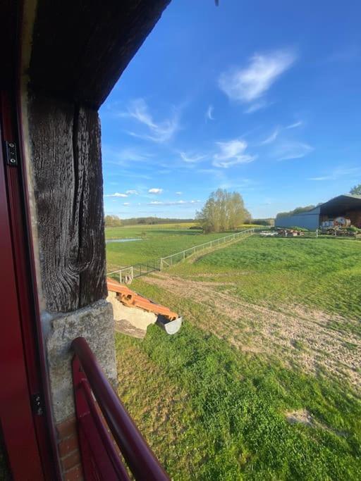 Villenouan Domaine Et Gites Lailly-en-Val Eksteriør bilde