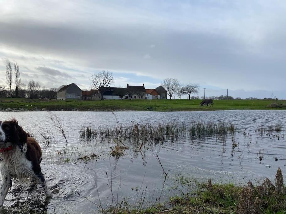 Villenouan Domaine Et Gites Lailly-en-Val Eksteriør bilde