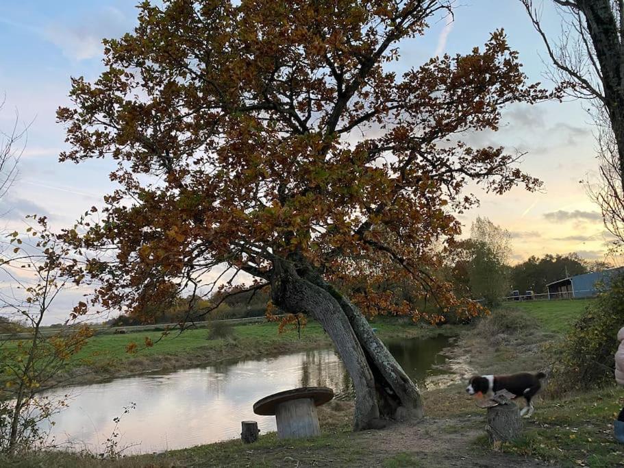 Villenouan Domaine Et Gites Lailly-en-Val Eksteriør bilde