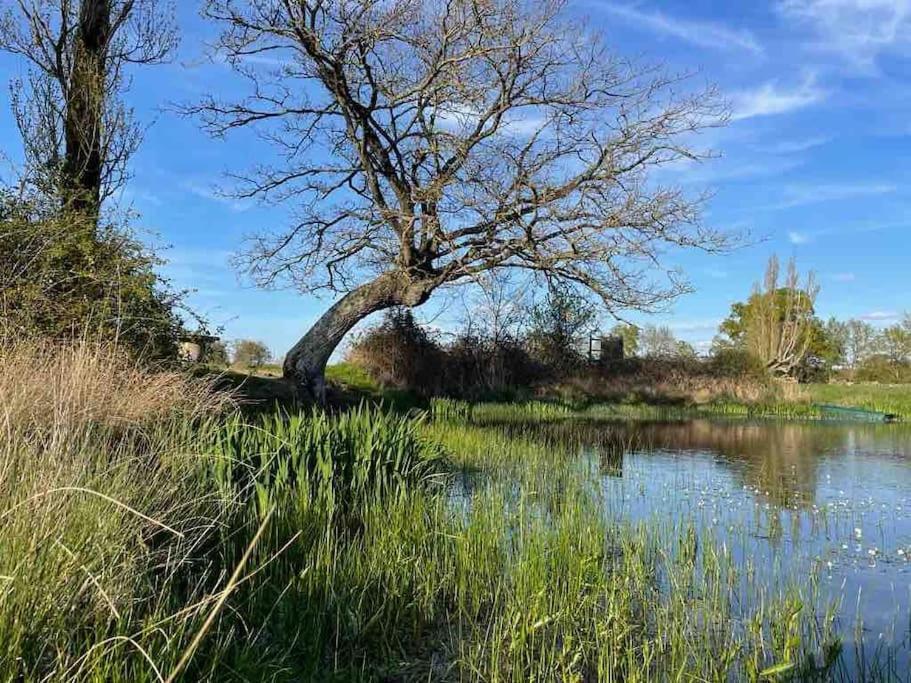 Villenouan Domaine Et Gites Lailly-en-Val Eksteriør bilde